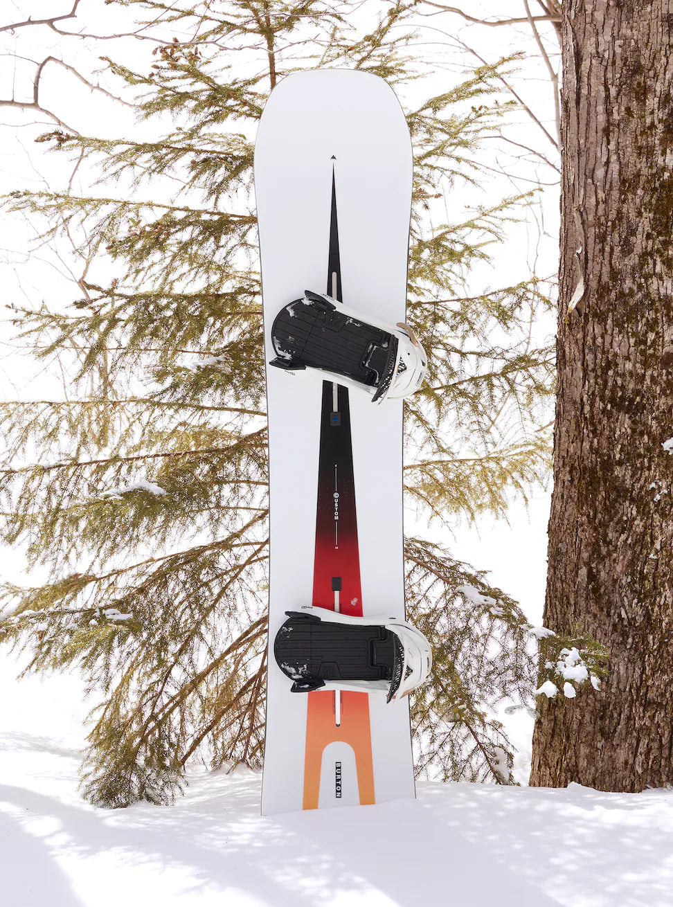 Custom Camber Snowboard 2023