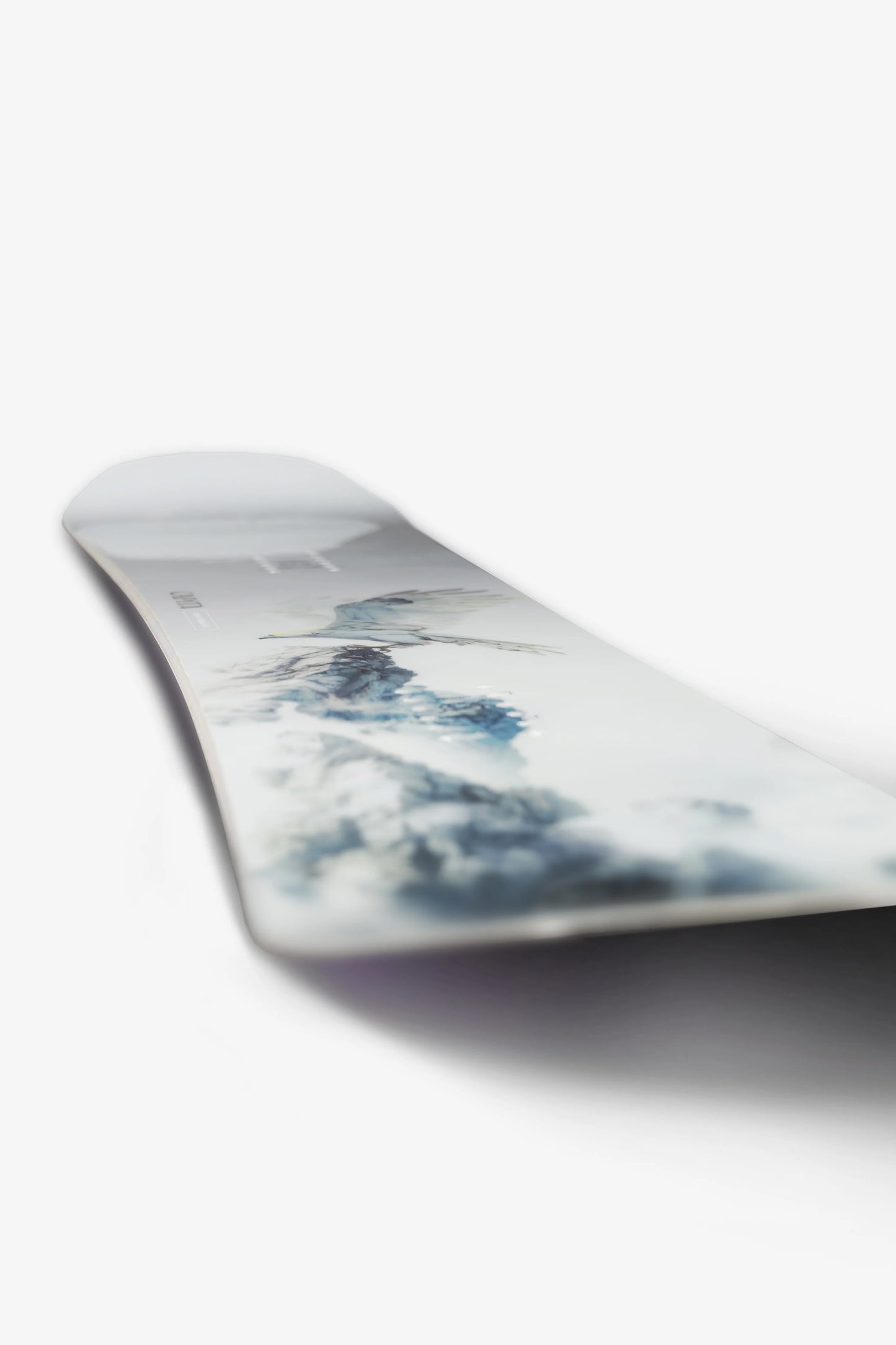 Capita Birds of a Feather 2025/26