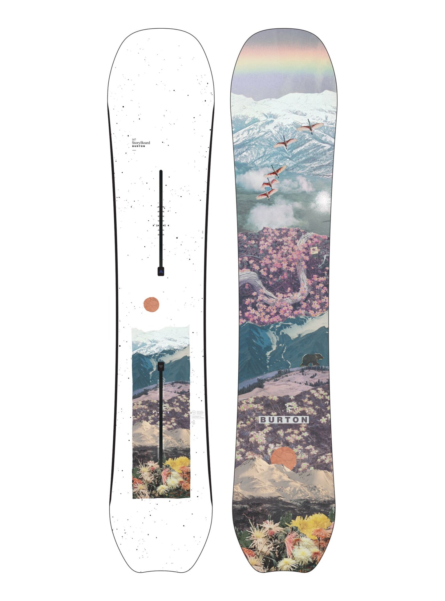 Story Board Camber Snowboard