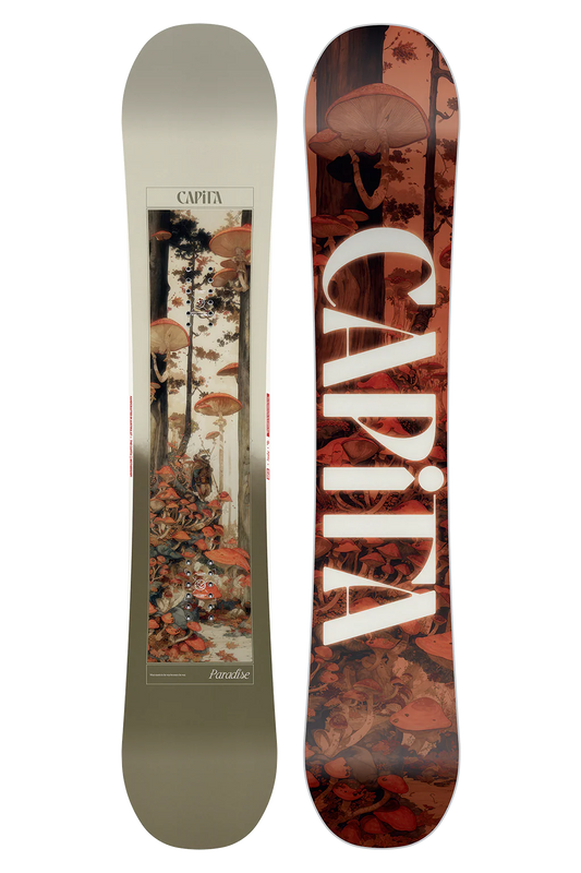 Capita Paradise 145 2025/26